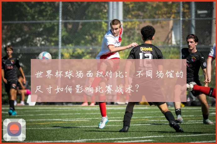 世界杯球场面积对比：不同场馆的尺寸如何影响比赛战术？