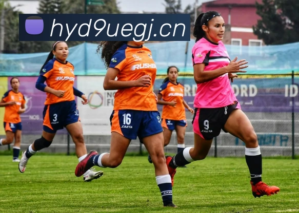 StarSky Sports平台生态图